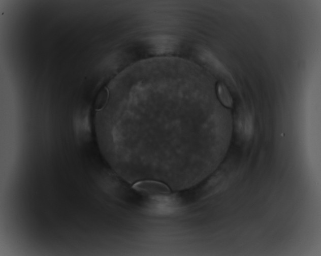 X0000100420516200806061406