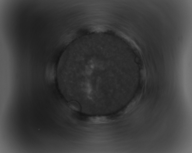 X0000100420517200806061406