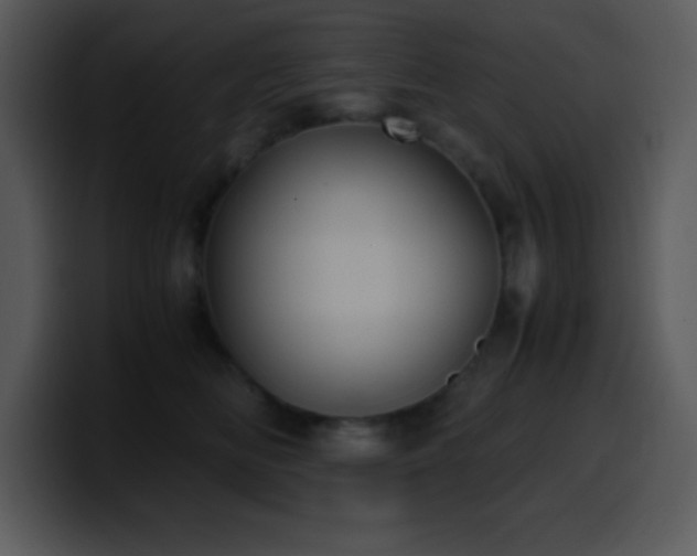 X0000100420518200806061406