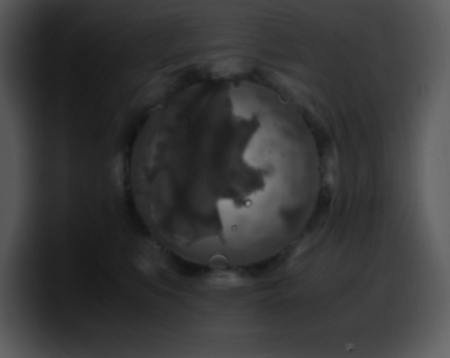 X0000100420519200806061406