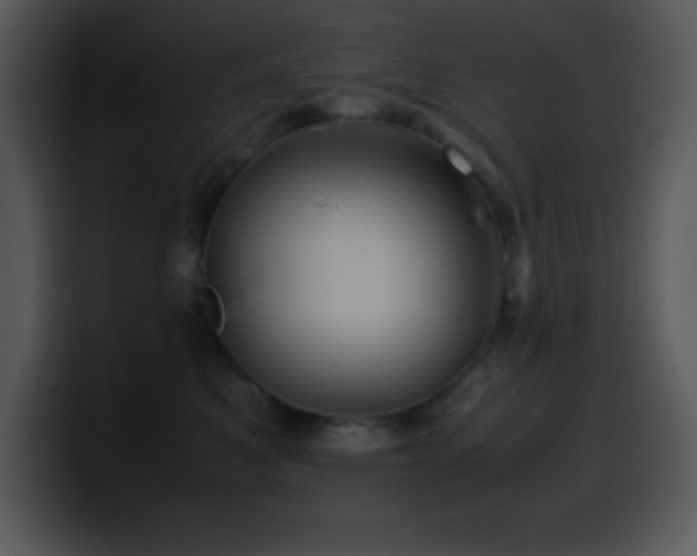 X0000100420521200806061406