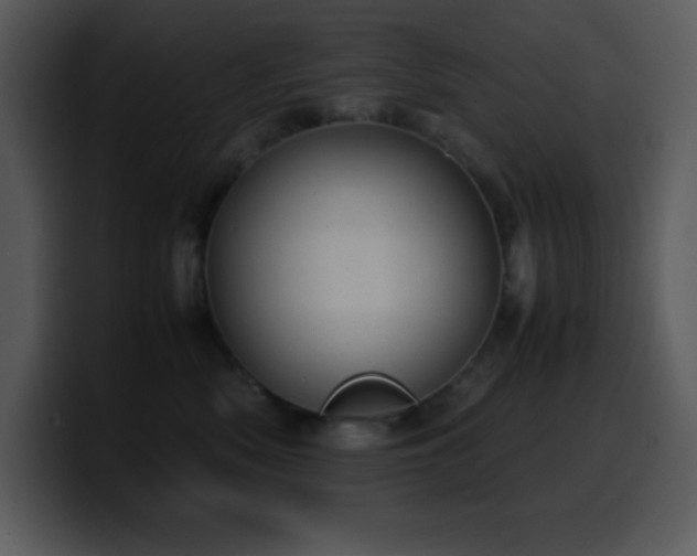 X0000100420522200806061406