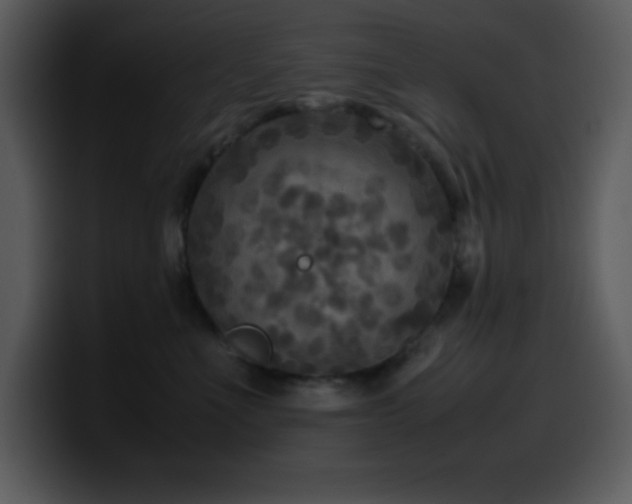X0000100420523200806061405