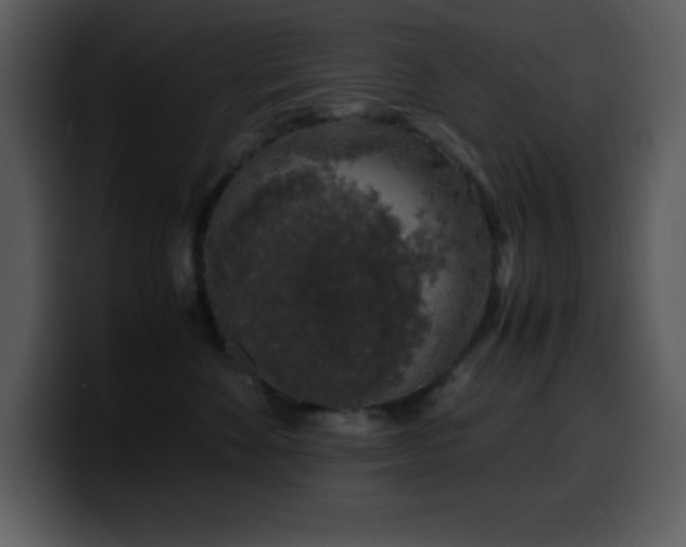 X0000100420524200806061405