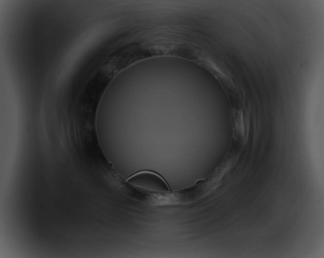 X0000100420526200806061405