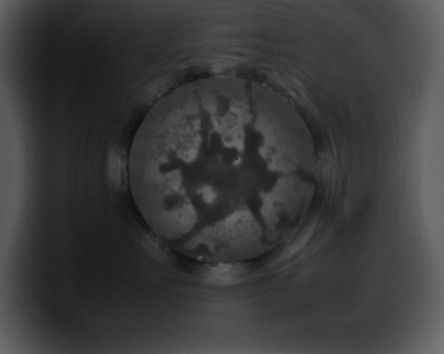 X0000100420527200806061405