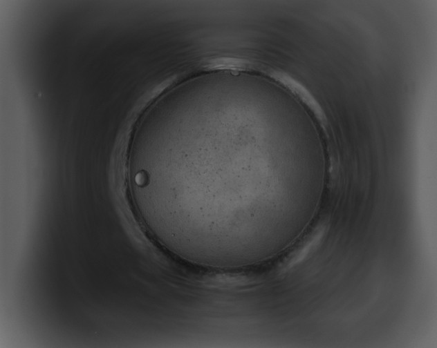 X0000100420529200806061405