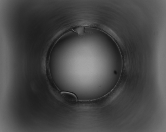 X0000100420530200806061405