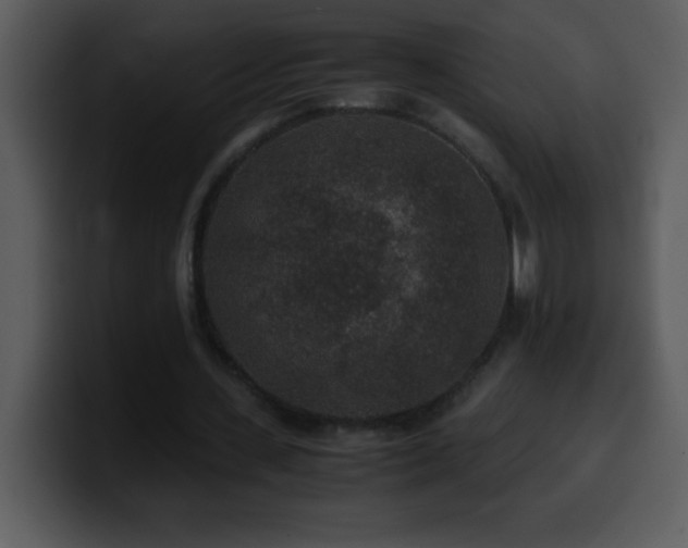 X0000100420531200806061405