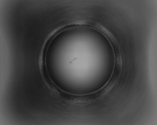 X0000100420532200806061405