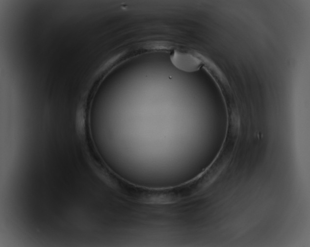 X0000100420533200806061405