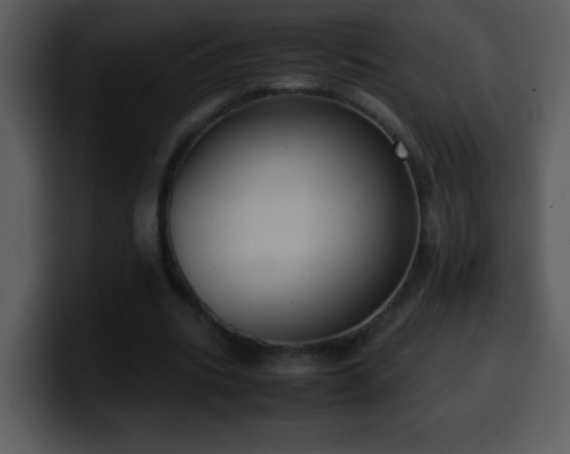 X0000100420535200806061405