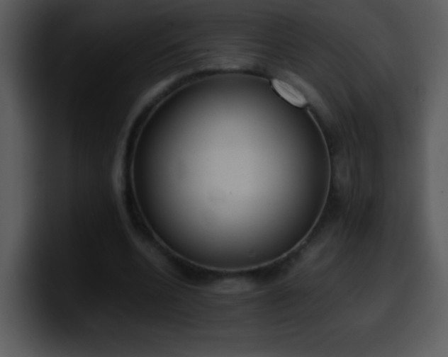 X0000100420536200806061405