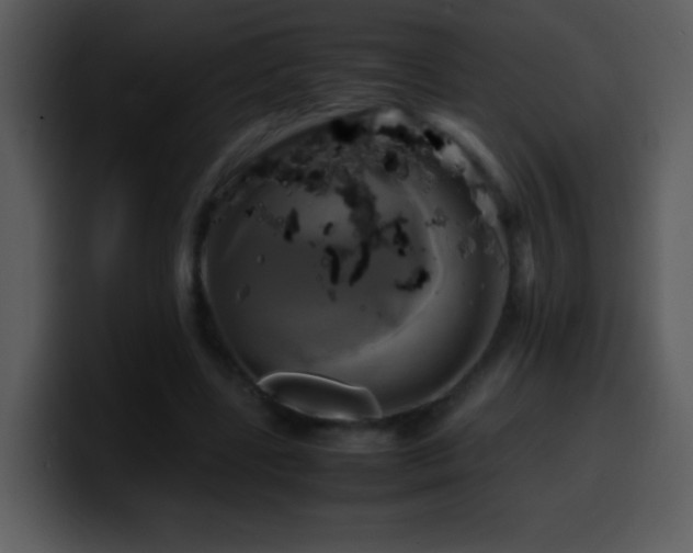 X0000100420539200806061405