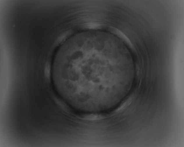 X0000100420542200806061405