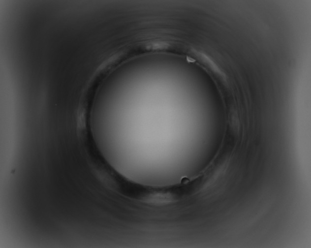 X0000100420543200806061405