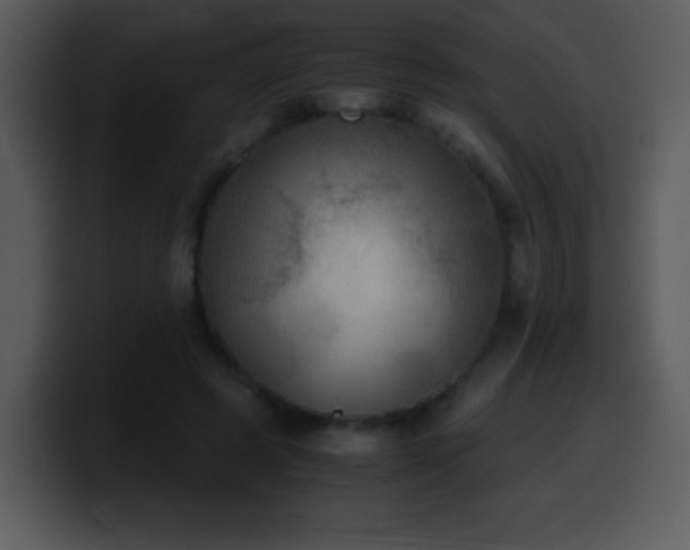 X0000100420545200806061405