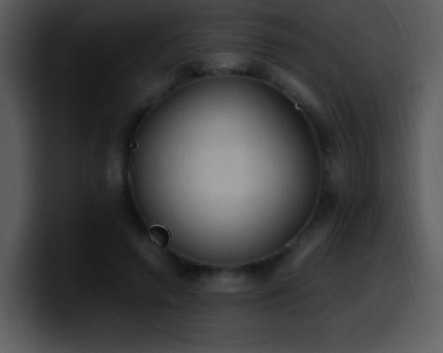X0000100420546200806061405
