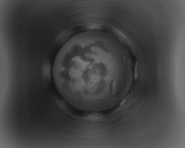 X0000100420550200806061405