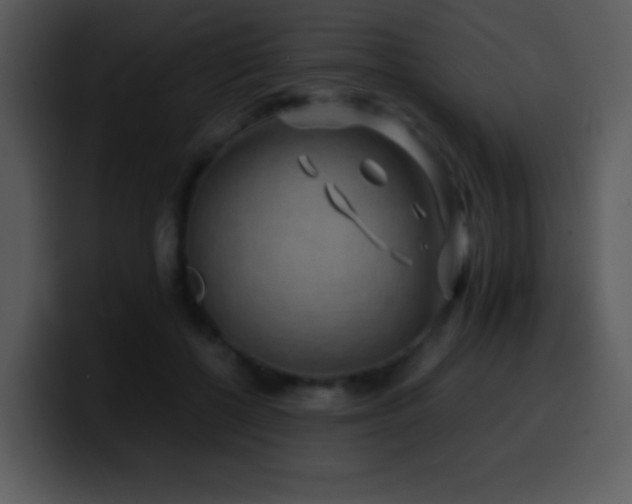 X0000100420552200806061405