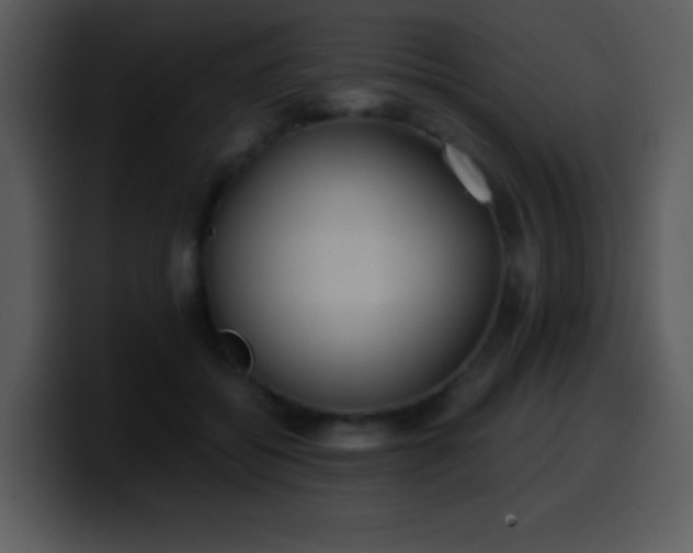 X0000100420556200806061405