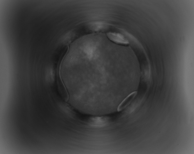 X0000100420558200806061405