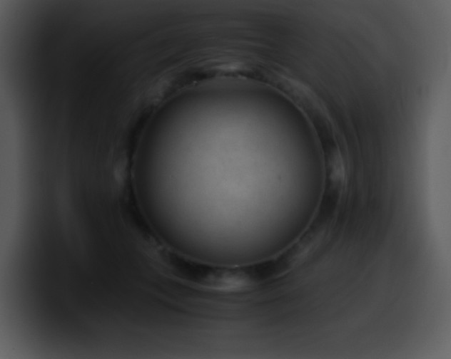 X0000100420559200806061405