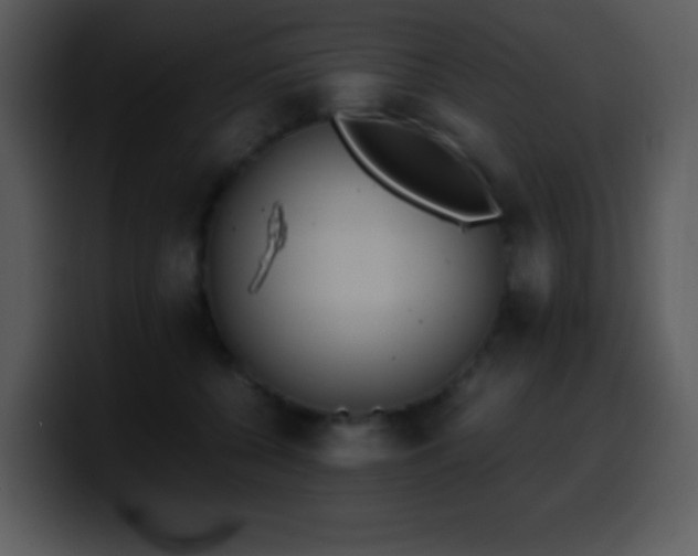 X0000100420560200806061405