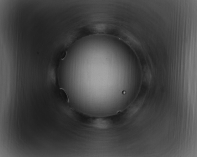 X0000100420562200806061405
