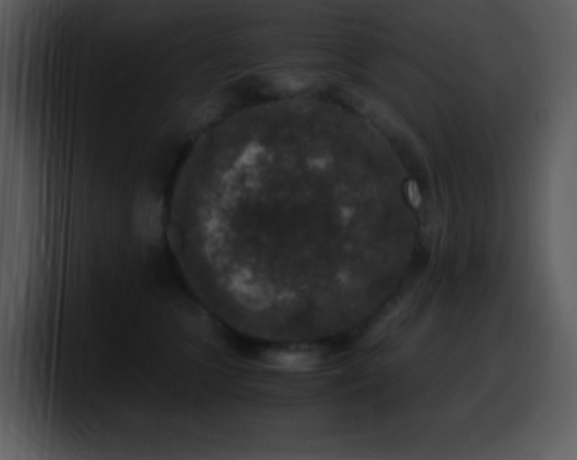 X0000100420563200806061405