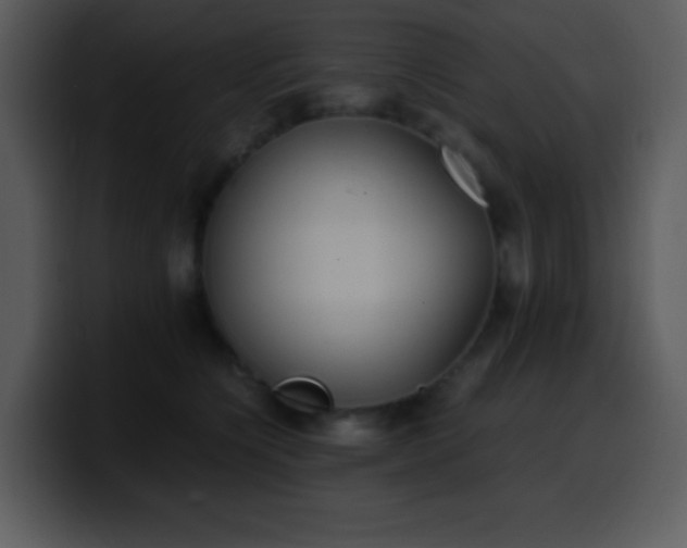 X0000100420564200806061405