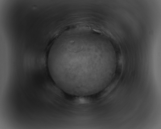 X0000100420565200806061405