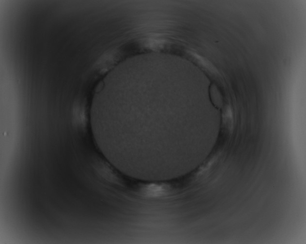 X0000100420566200806061405