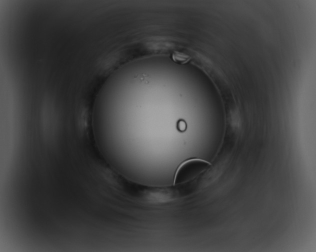 X0000100420567200806061405