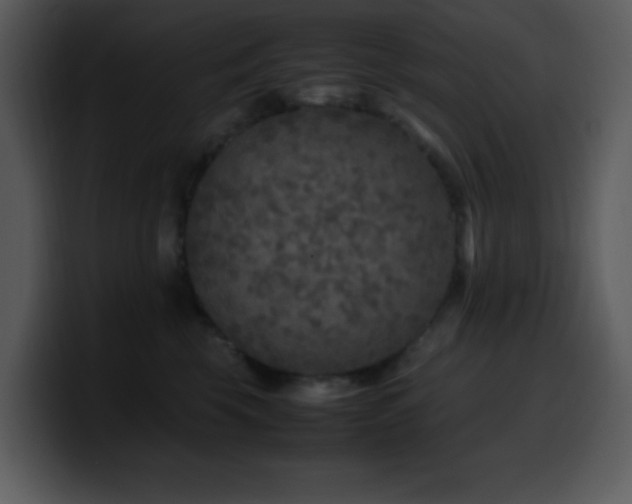 X0000100420569200806061405