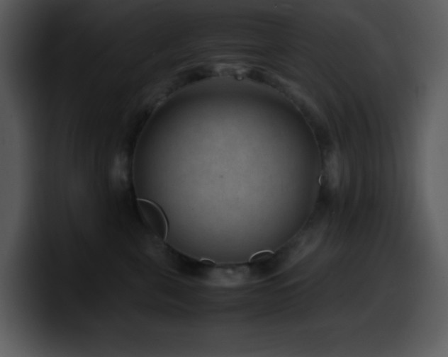 X0000100420571200806061405