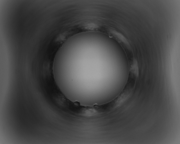 X0000100420572200806061405