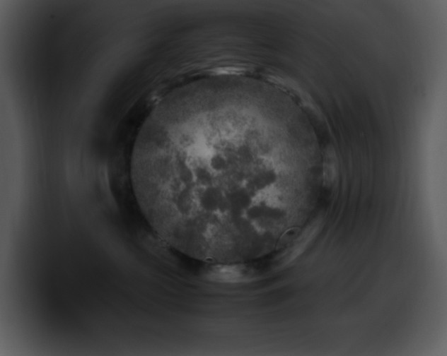 X0000100420573200806061405
