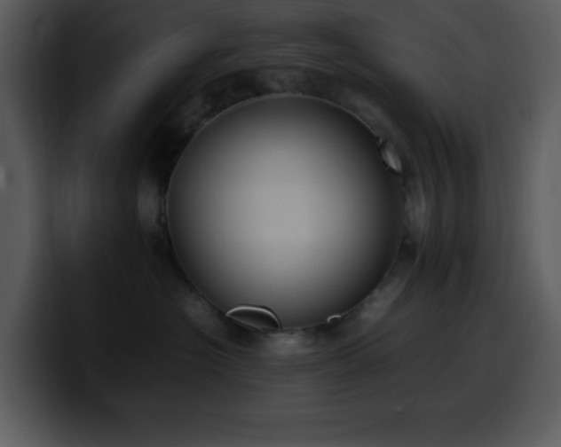 X0000100420574200806061405