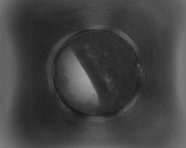 X0000100420577200806061405