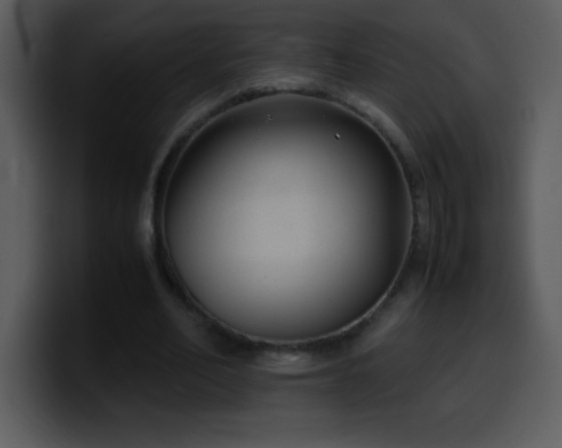 X0000100420582200806061405