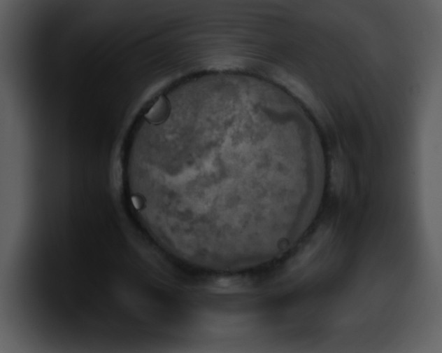 X0000100420584200806061405