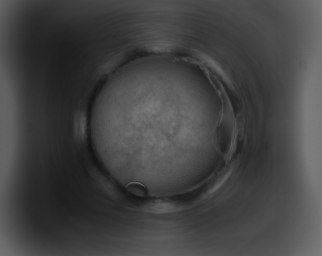 X0000100420589200806061405