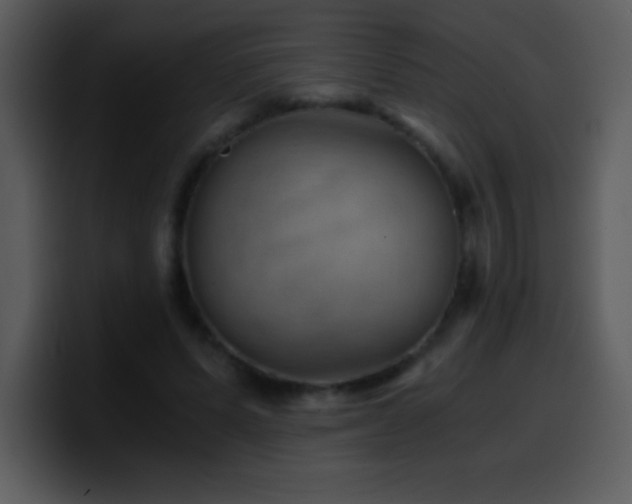 X0000100420591200806061405