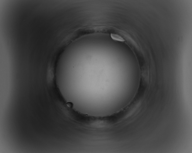 X0000100420593200806061405
