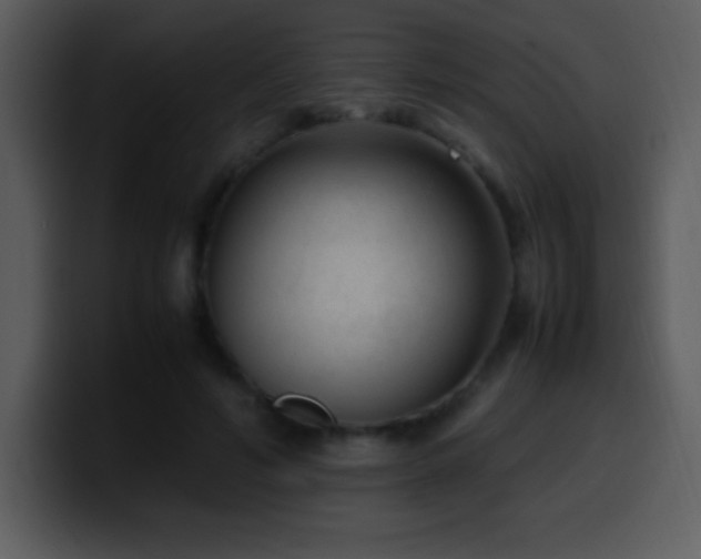 X0000100420594200806061404