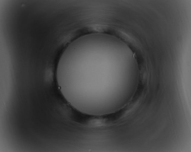 X0000100420595200806061404