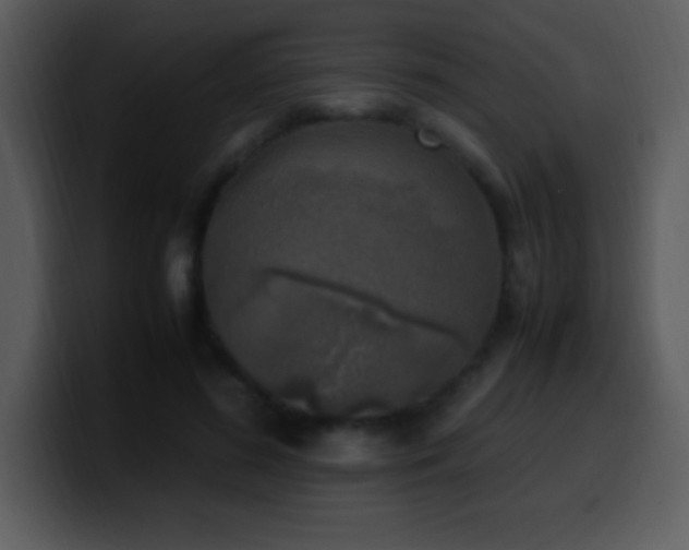 X0000100420596200806061404
