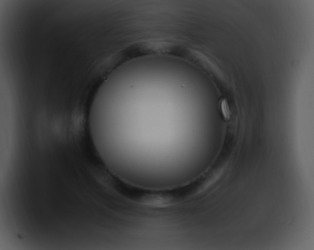 X0000100420597200806061404