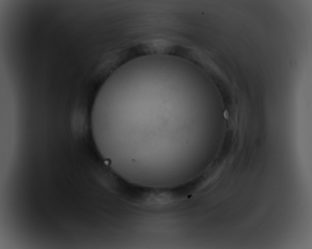 X0000100420599200806061404